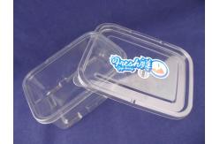 China Corrosion Resistance Plastic Packaging Boxes Punnet Pack Box supplier