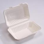 9 X 6In Sugarcane Bagasse Clamshell Biodegradable Disposable Lunch Box for sale