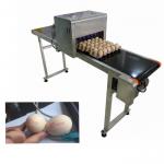 Eggs Barcode Printing Machine / Batch Number Printing Machine With USB Storage for sale