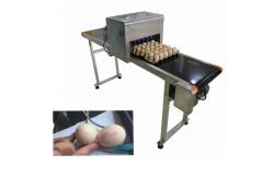 China Eggs Barcode Printing Machine / Batch Number Printing Machine With USB Storage supplier
