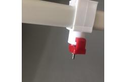 China Pvc Pipe Chicken Feeders Broiler Poultry Equipment For Drinking Line supplier