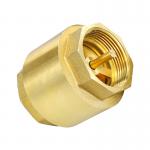 1/2 To 4 Inch  Check Valve Female Thread 3 years Warranty