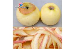 China 100MM Diameter Fruit And Vegetable Peeler Machine Commercial Food Processor supplier