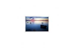 China TL066FVMC02-00 6.6 Inch TFT-LCD Screen Display Panel supplier