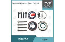 China CE passed 3126B Injector Rebuild Kit Bag Packing supplier