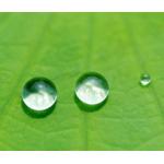 RoHS PVDF Coating ACP for sale