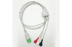 China Comen Telemetry ECG Cables Leadwires 12 Pin With Snap supplier