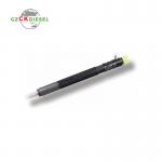 Diesel Common Rail Injector EJBR03301D 11121007AR for Delphi Engine