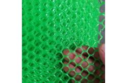 China PE Green Plastic Fencing Roll For Farm Chicken Fencing Plastic Flat Netting supplier