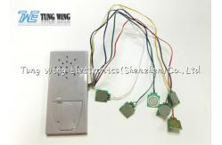 China OEM Toy Sound Module for Kid's Learning Book , Noisy Sound Book supplier