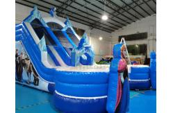 China Frozen Double Jumping Bouncer Inflatable Water Slide With Pool supplier