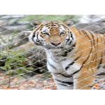 High Tensile Strength Wire Rope Mesh Fencing Easy Fold For Animal Enclosure for sale