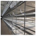 2024 H Type 4-tier Hot Dip Galvanized Automatic Layer Chicken Cage In Poultry Equipment for sale