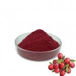 HALAL Fruit Cranberry Juice Powder Good Fluidity Easy To Dissolve for sale