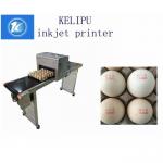 600DPI Egg Jet Printer / Expiry Date Printing Machine With One Year Warranty