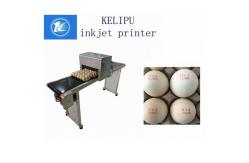 China 600DPI Egg Jet Printer / Expiry Date Printing Machine With One Year Warranty supplier