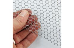 China Economical Hexagonal Mesh Sheet Rust Resistant For Decoration supplier