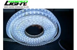 China SMD5050 17W 24V 60 Leds 85lum Led Flex Rope Light supplier