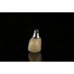 Sandblasted Single Tooth Implant With Self Tapping Thread And Internal Hex Connection