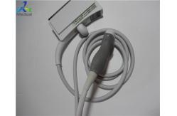 China Sequoia S2000 S3000 6C1 HD Ultrasound Transducer supplier
