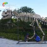 length 15m Museum Quality Dinosaur Replicas T Rex Skull water repellent for sale