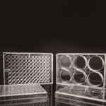 Lab Disposable EDGE 6 Well Cell Culture Plate for sale