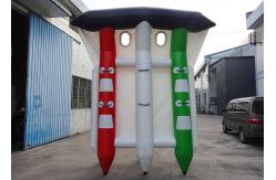 China Customized Logo Towable Inflatables / Inflatable Flying Fish For Sea supplier