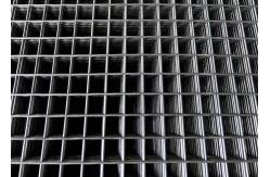 China 6 Gauge Welded Wire Mesh Fence Panels/Welded Wire Mesh Panel supplier