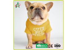 China SNAS Breathable Lightweight Winter Pet Clothes supplier