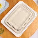 Eco Friendly Biodegradable Sugarcane Bagasse Tableware Disposable Compostable Food Tray for sale