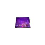 6.6 inch HSD066BHF1-A00-N00 720*1600 LCD Display Screen for sale