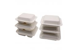 China 9x9inch Disposable Microwavable Clamshell Takeaway Boxes supplier