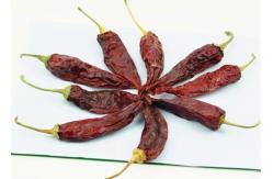China Capsicum yidu chilli Air Dried With / Without Stem 8,000 SHU 10-15 Cm Grade A supplier