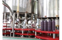 China SUS316 PE Bottled Multihead Hot Filling Machine with Surface dosing device supplier