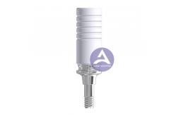 China Dentsply Ankylos® UCLA CoCr Base Castable Abutment (Engaging & Non-Engaging) supplier