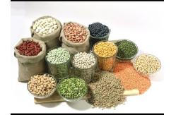 China Rotary Automatic Granule Packaging Machine Pouches Packing Machine supplier
