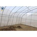 Agricultural Plastic Polytunnel Greenhouse Single Span For Vegetable Fruits Flowers for sale