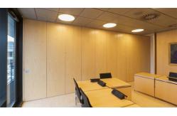 China Lightweight Movable Walls and Sliding Folding Partition Walls for Art Gallery supplier
