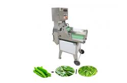 China Fast Leafy 300kg/H Electric Vegetable Slicer supplier