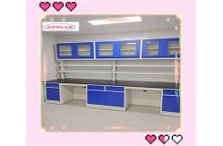 China Customizable Lab Caseworks with DTC 105° Buffer Hinge Solution supplier