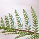 Anti UV Plastic Artificial Landscape Trees With Traveller'S And Areca Palm