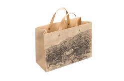 China Printed Coloured Paper Carrier Bags Purse Packaging Rivet Flat Paper Handle supplier