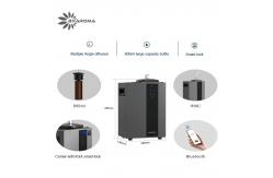 China Direct Sale A300 Wall Mounted Smart Lock Waterless Oil Diffuser Machine supplier