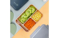 China Three Compartment Sealed Plastic Lunch Box 1250ML For Student supplier