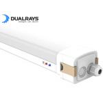 DUALRAYS D5 LED Moisture-proof Light with DIP Switchable Power/3CCT and wiring-through for sale
