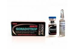 China HCG 5000iu Packaging 10ml Vial Labels And Boxes With 99% Pure Powder supplier