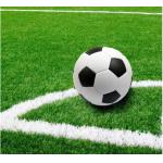 UV Resistant Synthetic Turf 50mm Football Court Artificial Grass For Sport field for sale