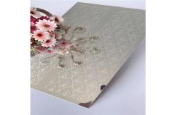 China Sustainable Elevator Stainless Steel Sheet 4*8FT Mirror Customized supplier