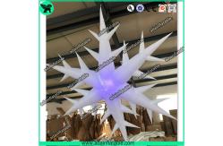 China Inflatable Snowflake With LED Light,Lighting Inflatable Snow Flower supplier