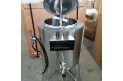 China 220V Electric Milk Pasteurizer Machine Adjustable Temperature supplier